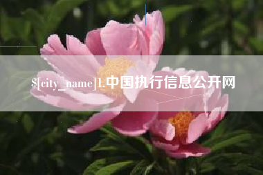 北京1.中国执行信息公开网
