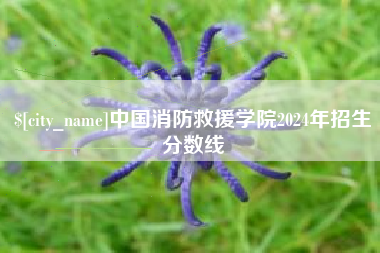 北京中国消防救援学院2024年招生分数线