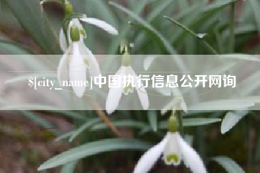 北京中国执行信息公开网询