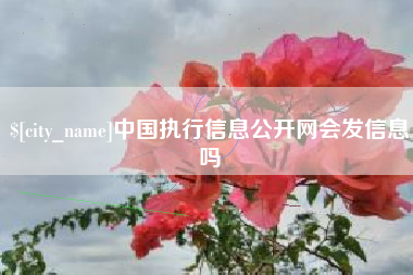 北京中国执行信息公开网会发信息吗