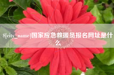 北京国家应急救援员报名网址是什么