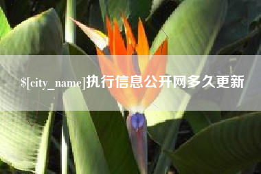 北京执行信息公开网多久更新