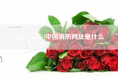 北京中国消防网址是什么
