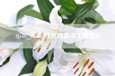 北京九宫格盘点工具图片