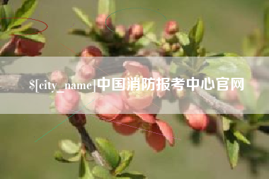 北京中国消防报考中心官网