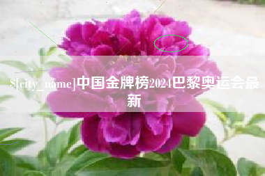 北京中国金牌榜2024巴黎奥运会最新