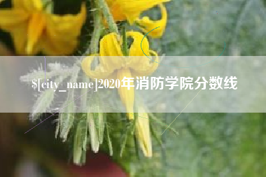 北京2020年消防学院分数线