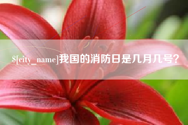 北京我国的消防日是几月几号？