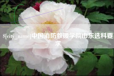 北京中国消防救援学院山东选科要求