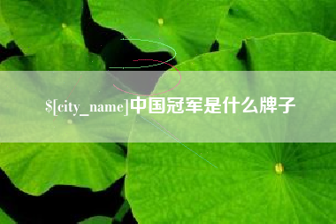 北京中国冠军是什么牌子