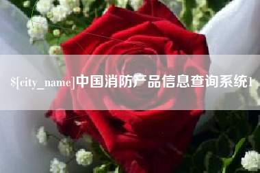 北京中国消防产品信息查询系统1