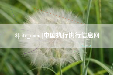 北京中国执行执行信息网