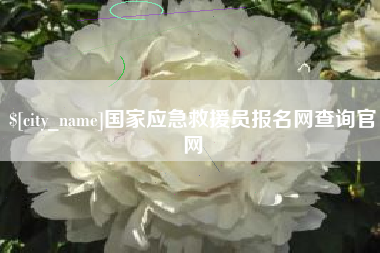 北京国家应急救援员报名网查询官网