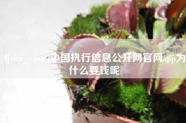 北京中国执行信息公开网官网app为什么要钱呢