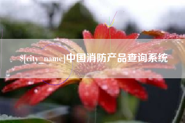 北京中国消防产品查询系统