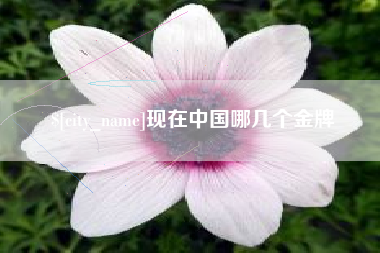 北京现在中国哪几个金牌