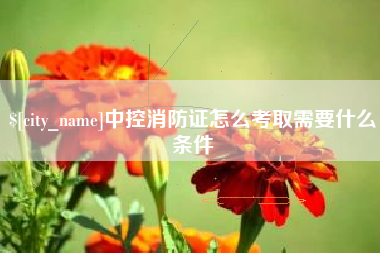北京中控消防证怎么考取需要什么条件