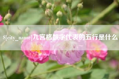 北京九宫格数字代表的五行是什么