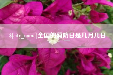 北京全国的消防日是几月几日