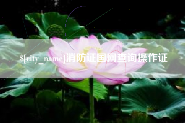 北京消防证国网查询操作证