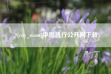 北京中国执行公开网下载