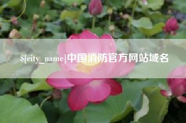 北京中国消防官方网站域名