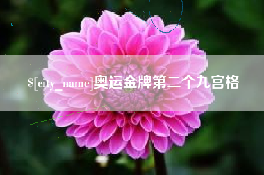 北京奥运金牌第二个九宫格