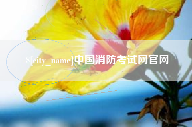 北京中国消防考试网官网