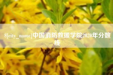 北京中国消防救援学院2020年分数线