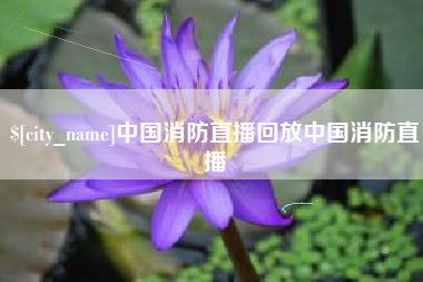 北京中国消防直播回放中国消防直播