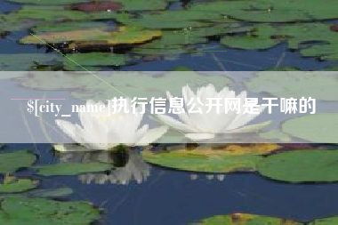 北京执行信息公开网是干嘛的