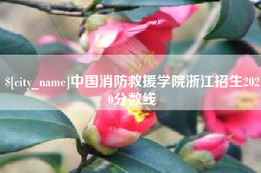 北京中国消防救援学院浙江招生2020分数线