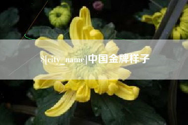 北京中国金牌样子