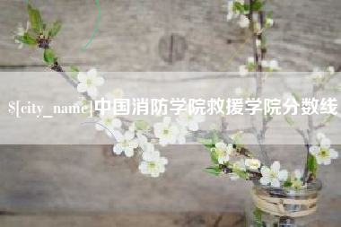 北京中国消防学院救援学院分数线