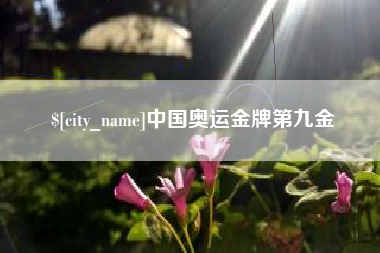 北京中国奥运金牌第九金