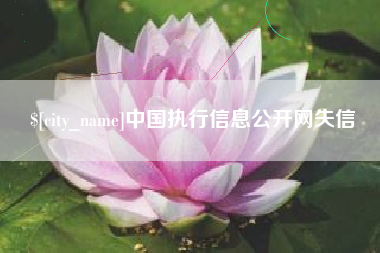 北京中国执行信息公开网失信