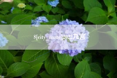 北京2022九宫