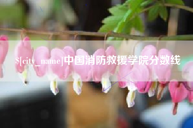 北京中国消防救援学院分数线