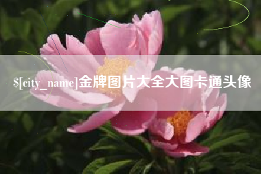 北京金牌图片大全大图卡通头像