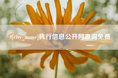北京执行信息公开网查询免费