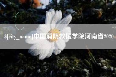 北京中国消防救援学院河南省2020
